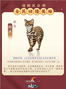 195天龙八部私服速记